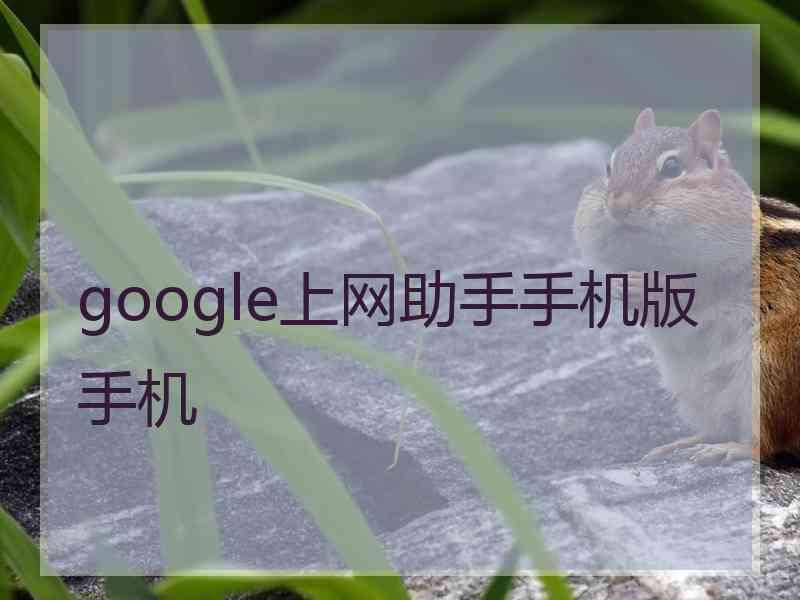 google上网助手手机版手机