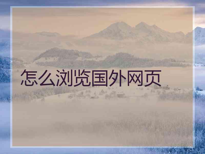 怎么浏览国外网页