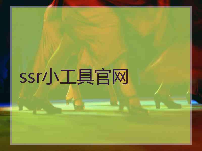 ssr小工具官网