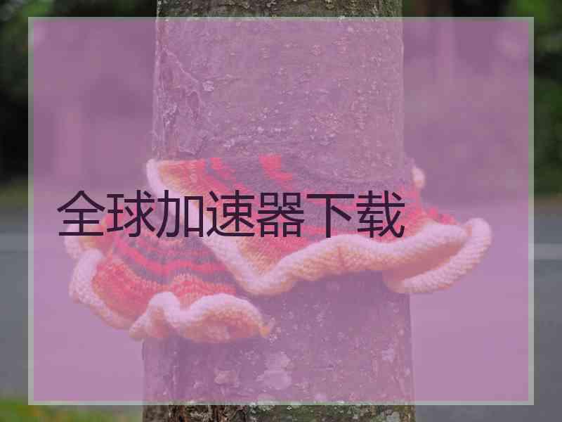 全球加速器下载