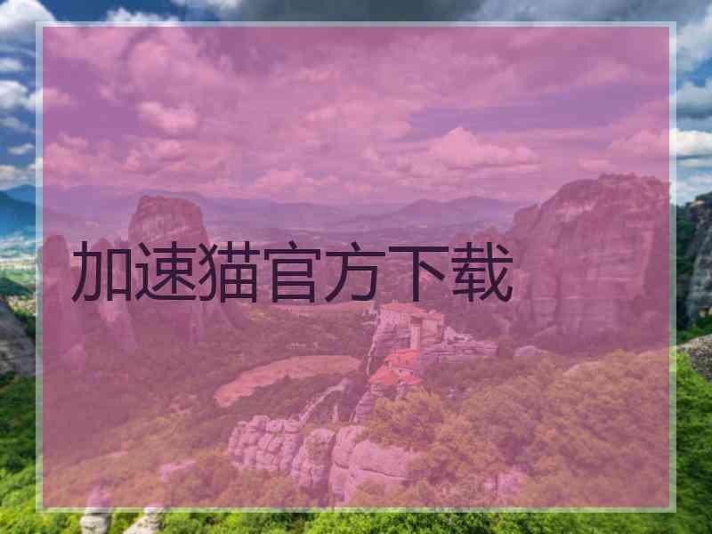 加速猫官方下载