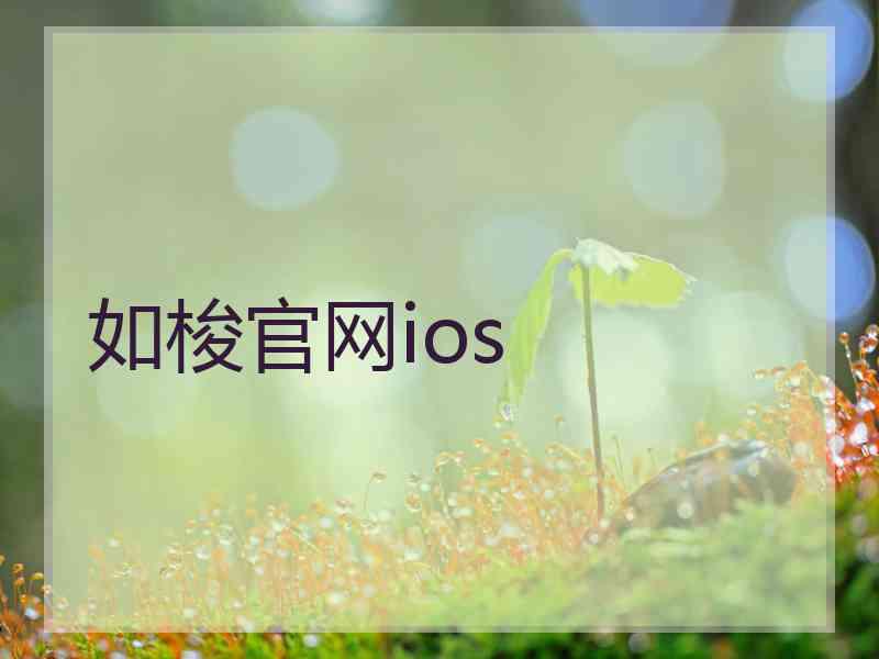 如梭官网ios