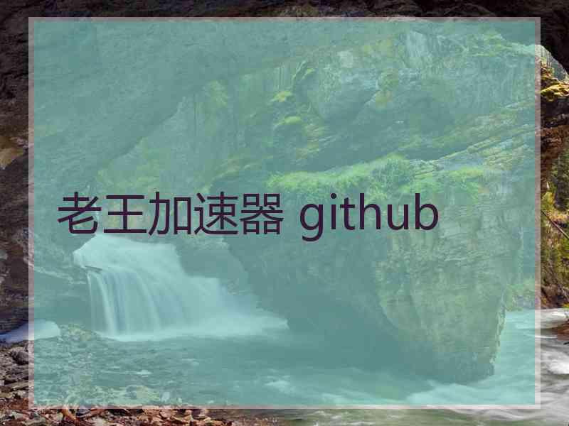 老王加速器 github