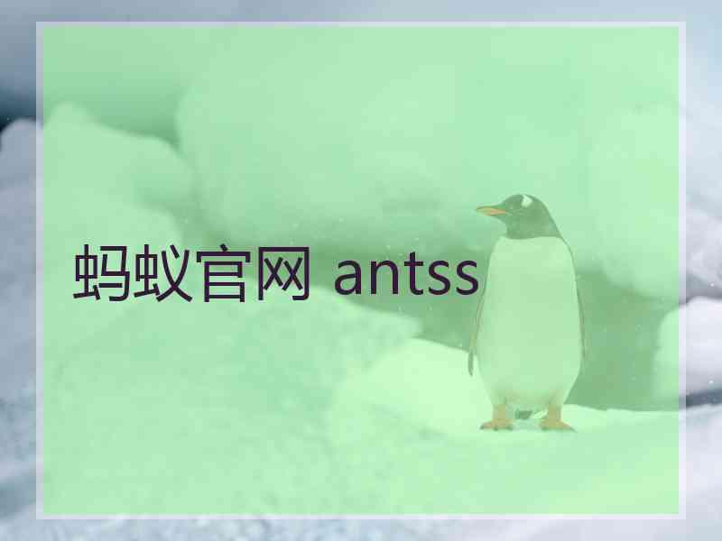 蚂蚁官网 antss