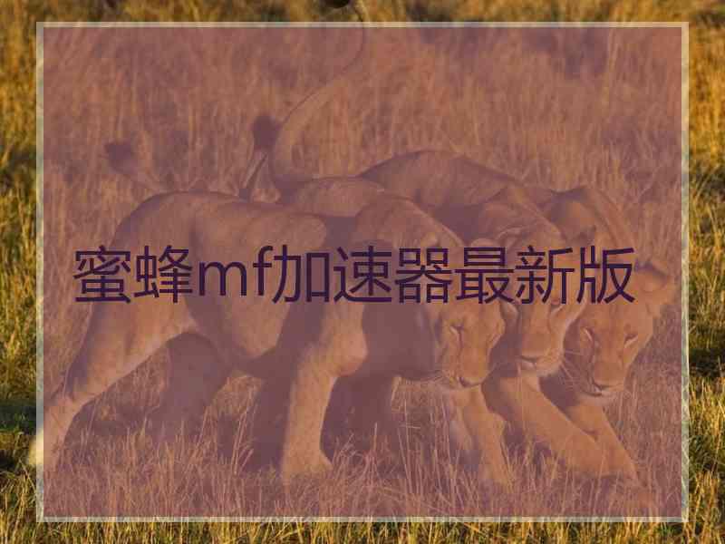 蜜蜂mf加速器最新版
