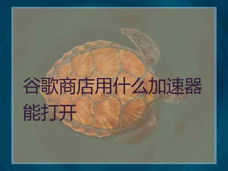 谷歌商店用什么加速器能打开