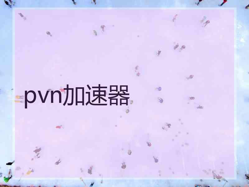 pvn加速器
