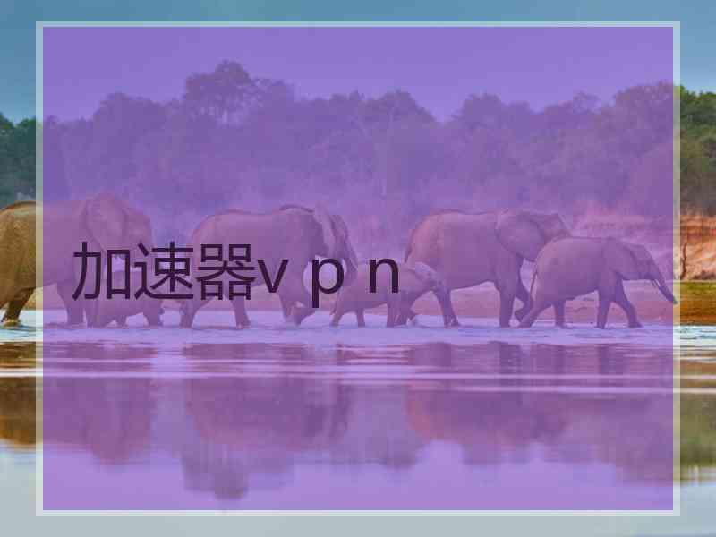 加速器v p n
