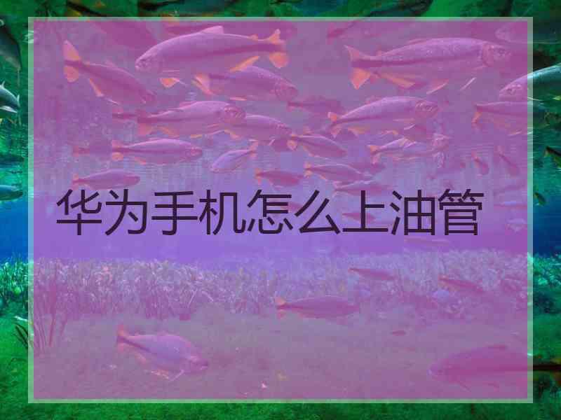 华为手机怎么上油管