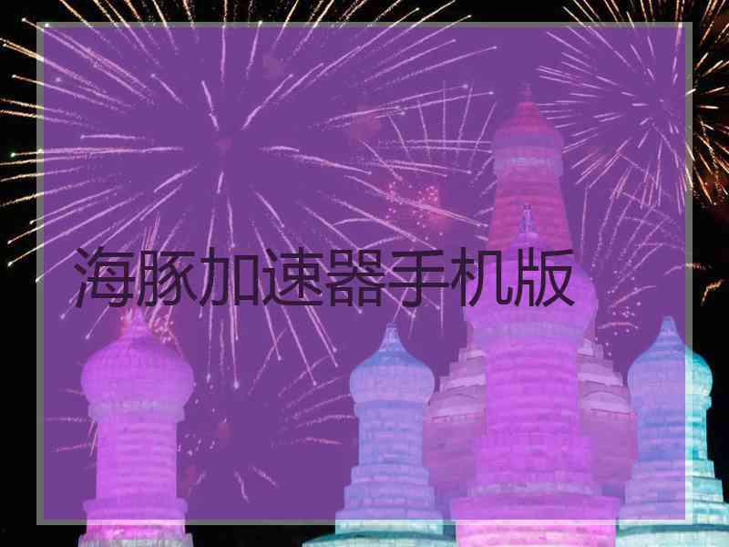 海豚加速器手机版