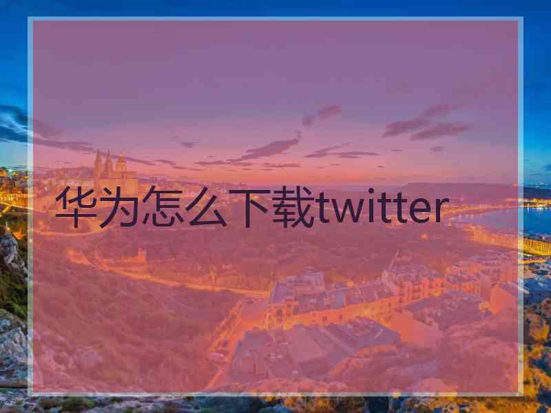 华为怎么下载twitter