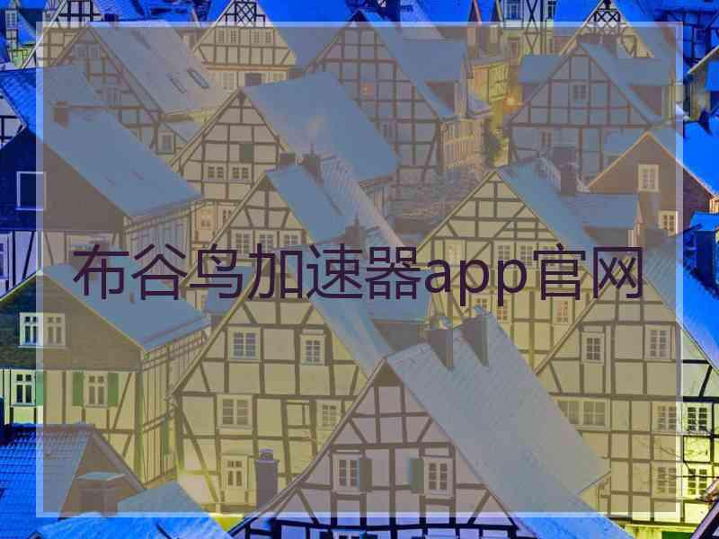 布谷鸟加速器app官网