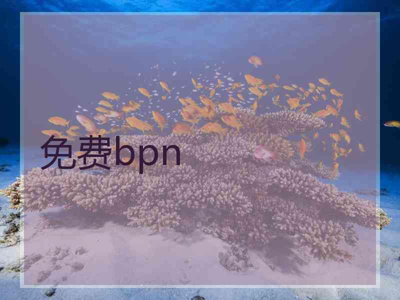 免费bpn