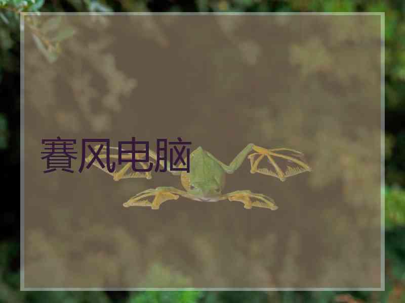 賽风电脑