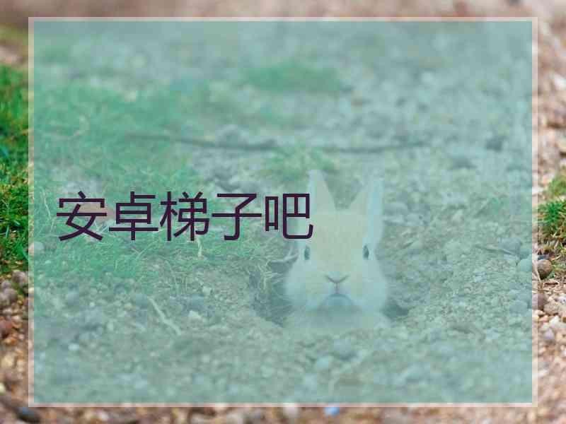 安卓梯子吧