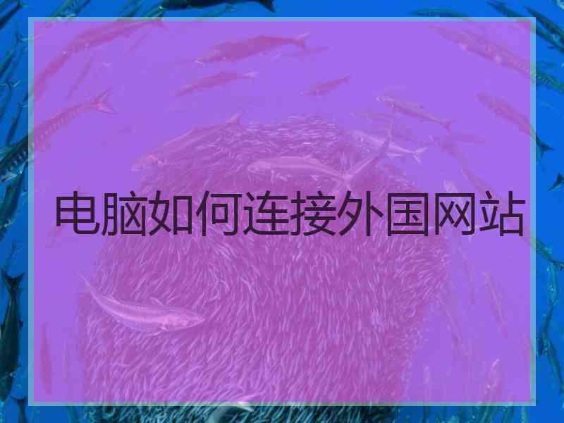 电脑如何连接外国网站
