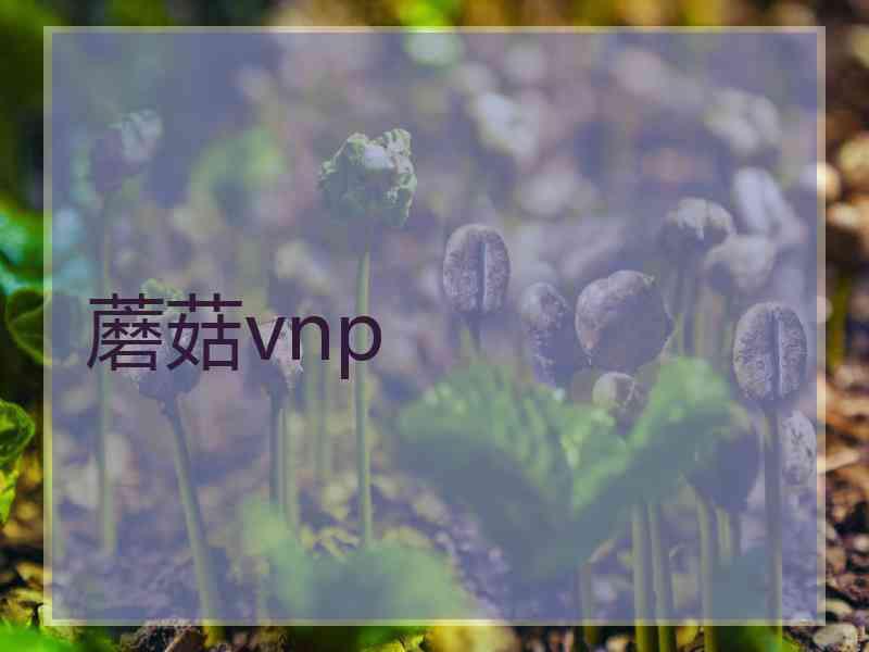 蘑菇vnp