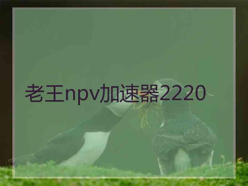 老王npv加速器2220