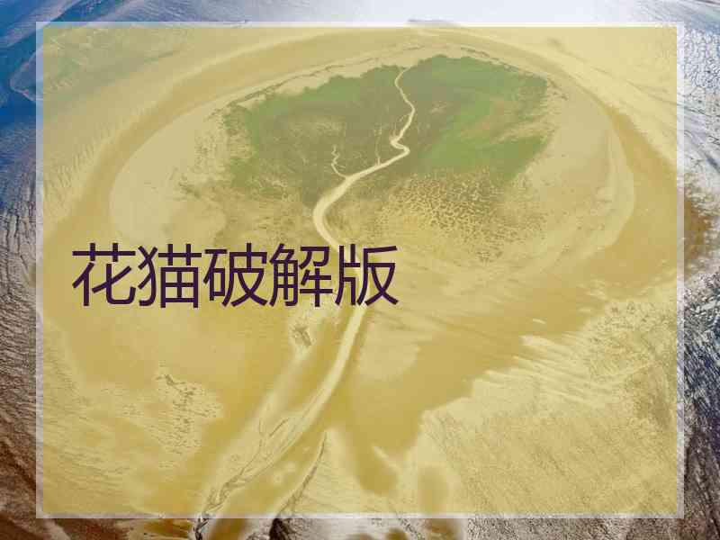 花猫破解版