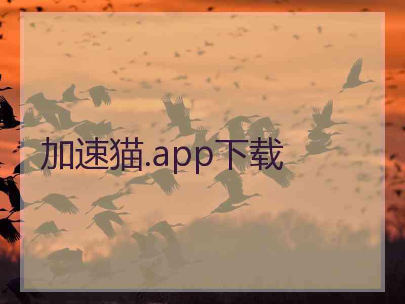 加速猫.app下载