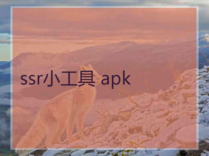 ssr小工具 apk