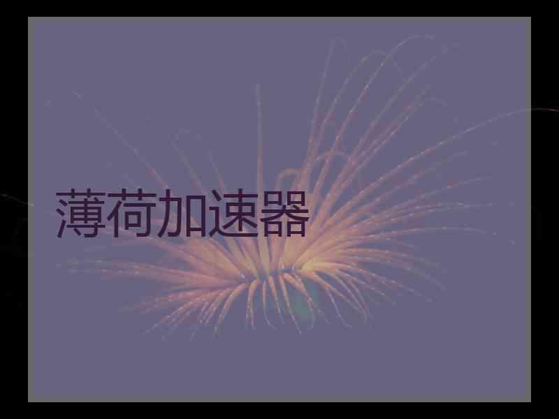 薄荷加速器