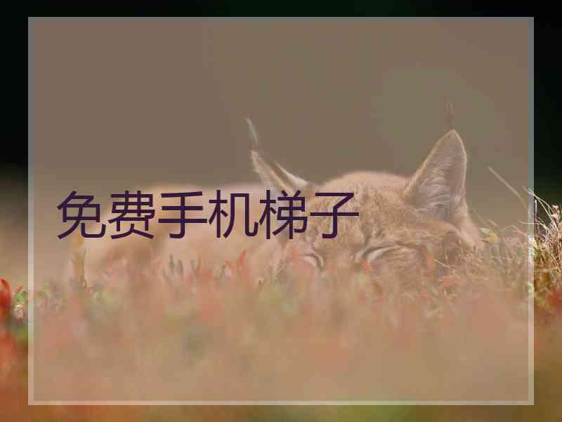 免费手机梯子