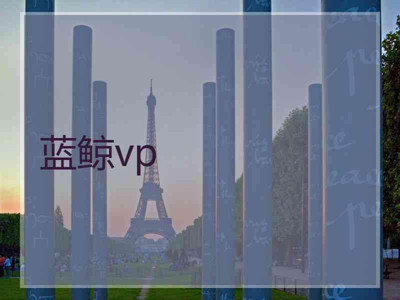 蓝鲸vp