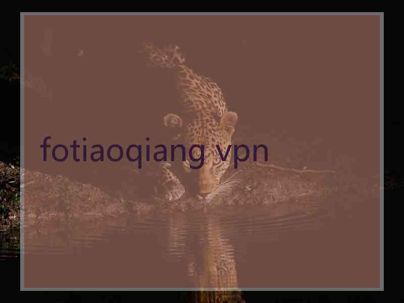 fotiaoqiang vpn