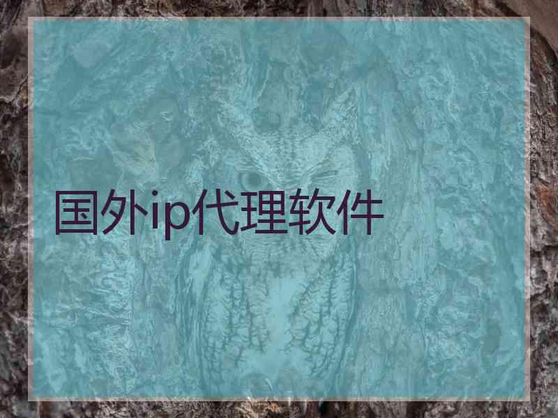 国外ip代理软件