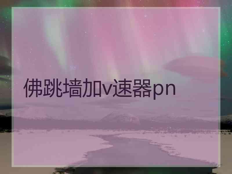 佛跳墙加v速器pn