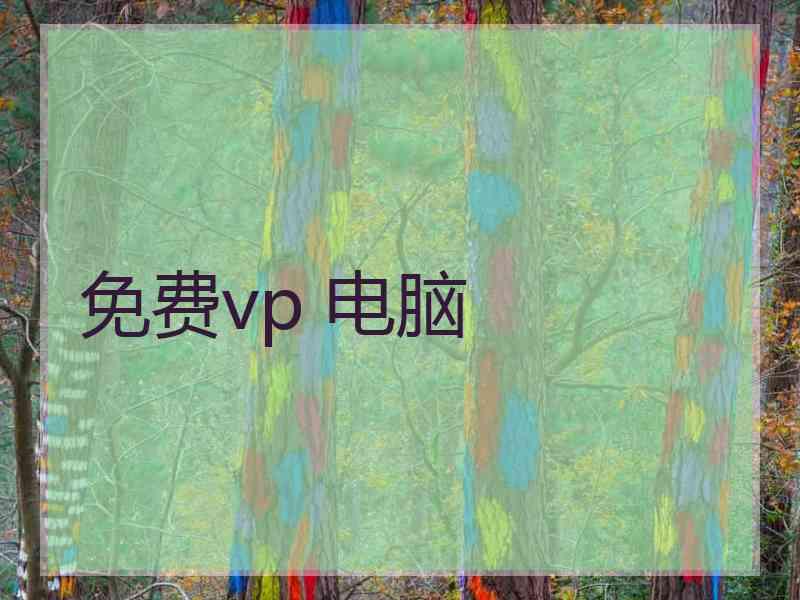 免费vp 电脑