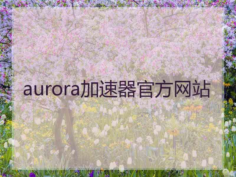 aurora加速器官方网站