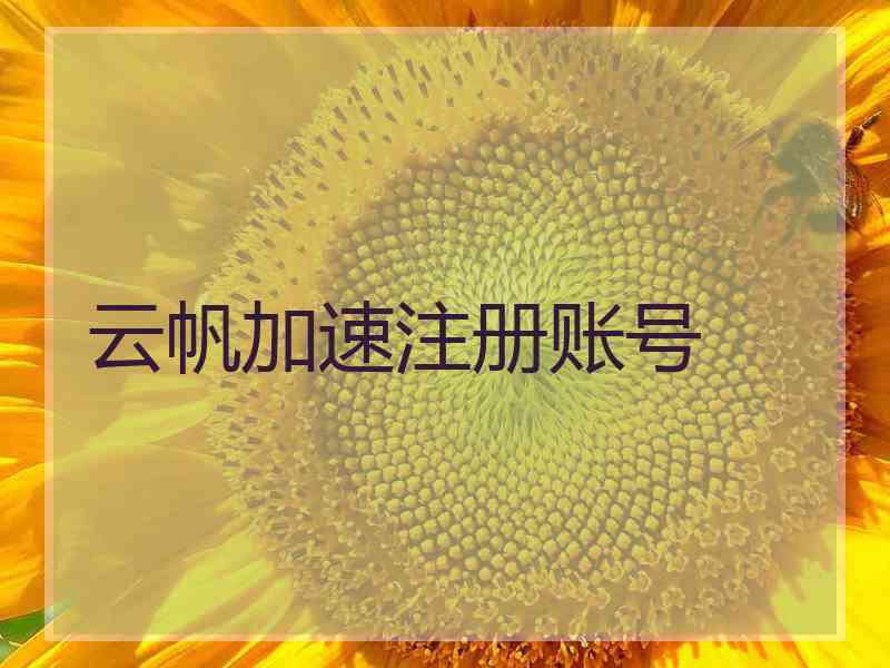 云帆加速注册账号
