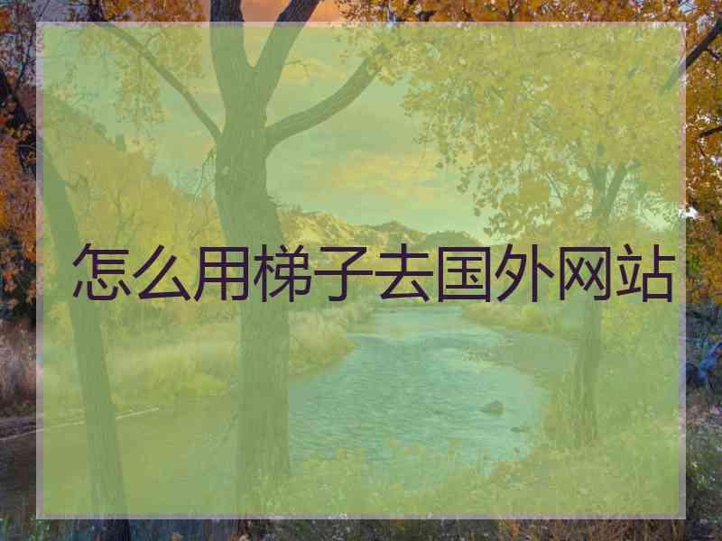 怎么用梯子去国外网站
