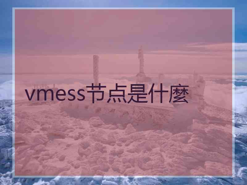 vmess节点是什麼
