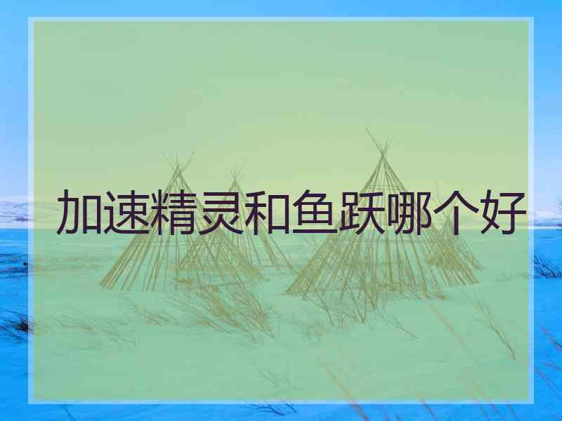 加速精灵和鱼跃哪个好
