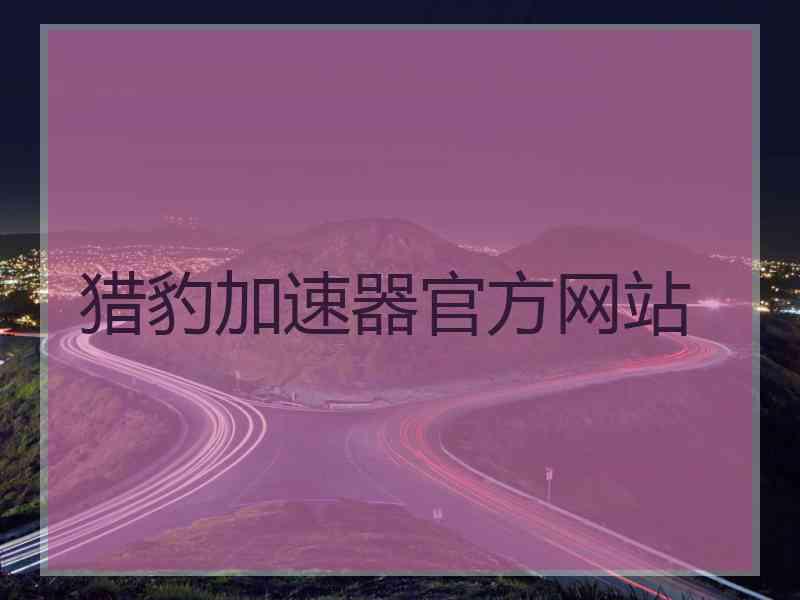 猎豹加速器官方网站