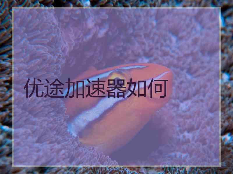 优途加速器如何