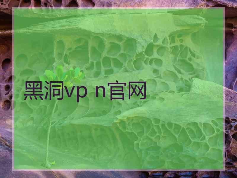 黑洞vp n官网