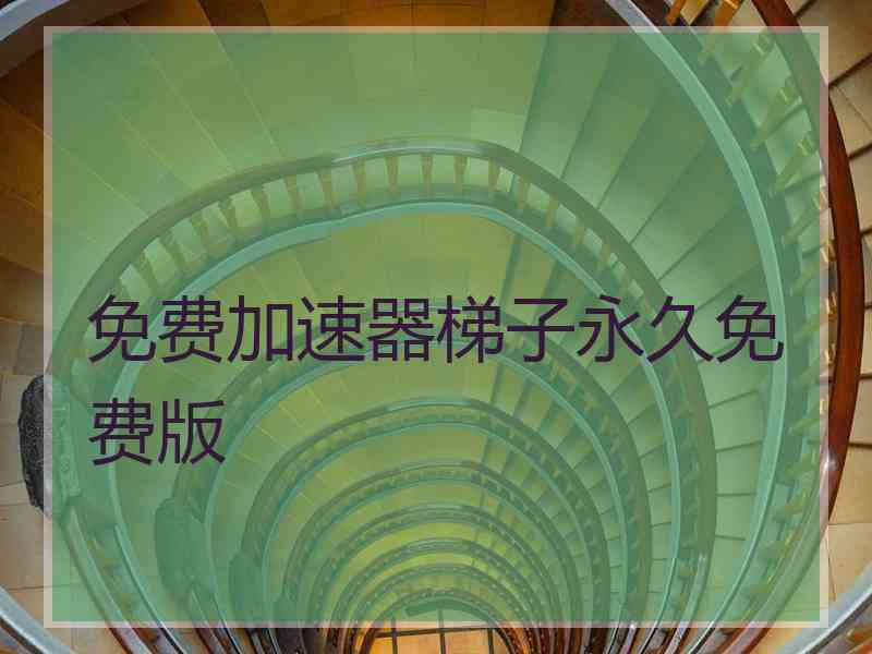 免费加速器梯子永久免费版