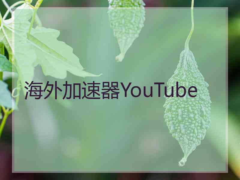 海外加速器YouTube