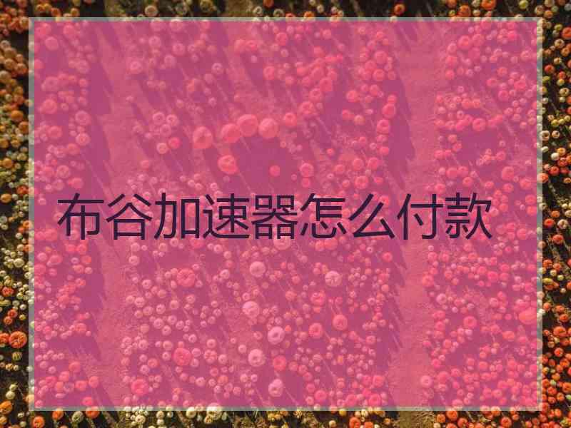 布谷加速器怎么付款
