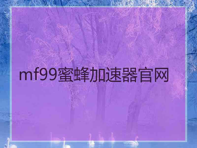mf99蜜蜂加速器官网