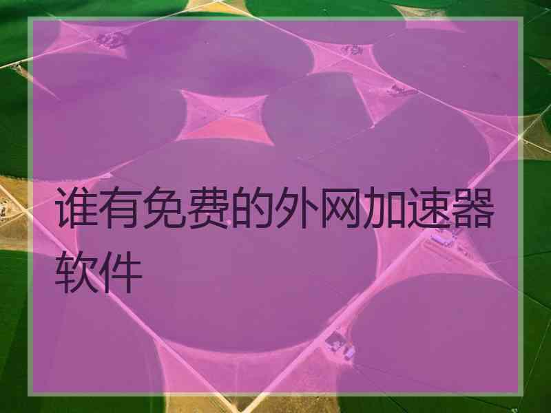 谁有免费的外网加速器软件