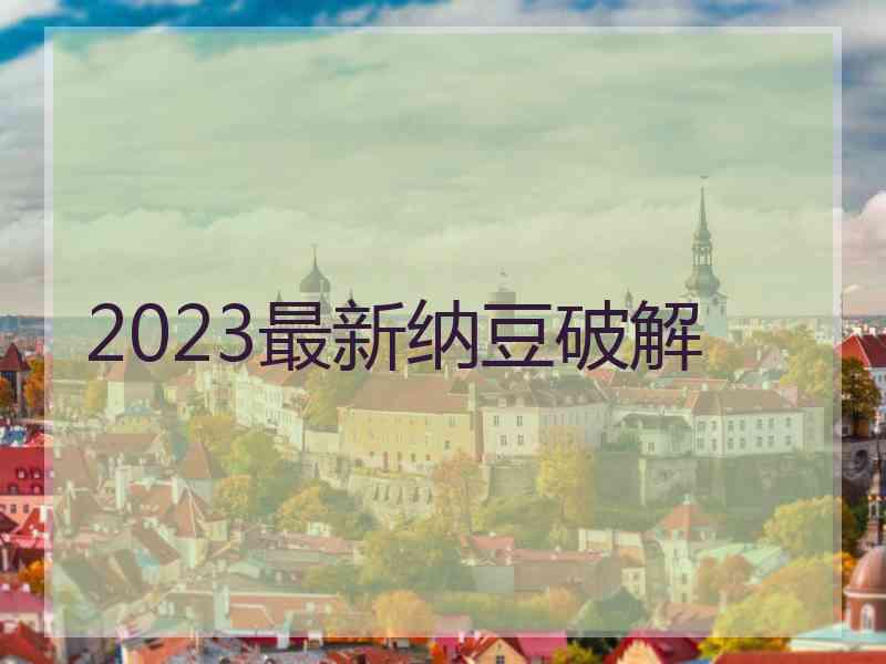 2023最新纳豆破解
