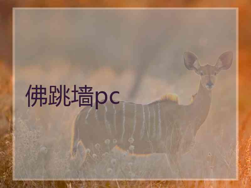 佛跳墙pc