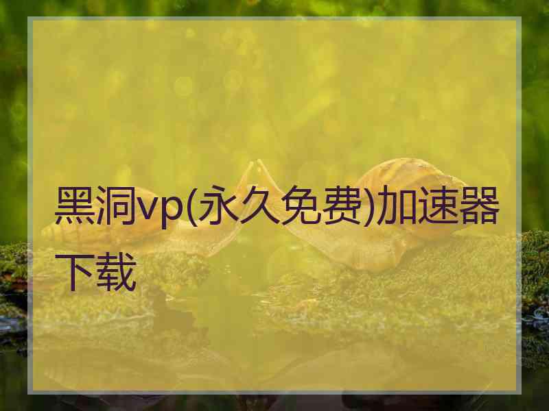 黑洞vp(永久免费)加速器下载