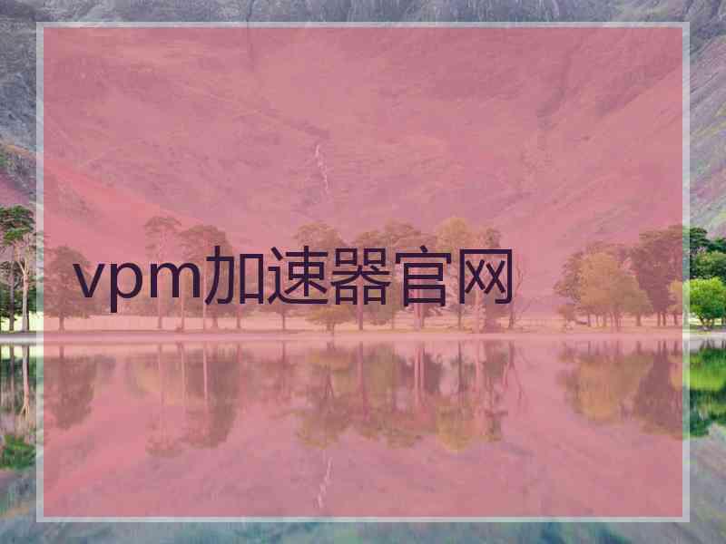 vpm加速器官网