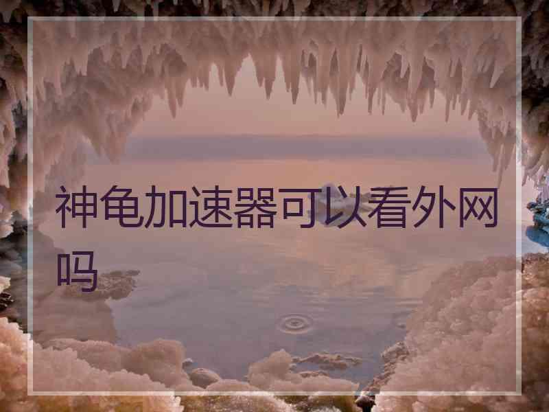 神龟加速器可以看外网吗